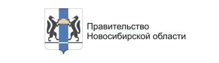 Правительство НСО