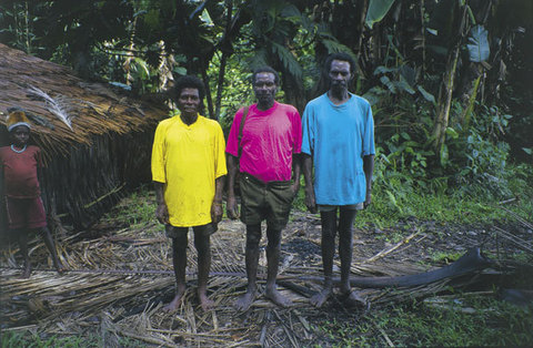 Рой Виллевой