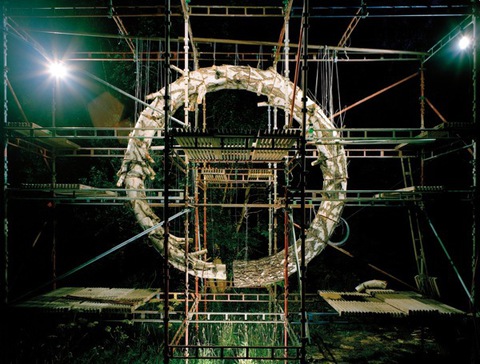 Илкка Халсо. Революции деревьев 1. Фотография