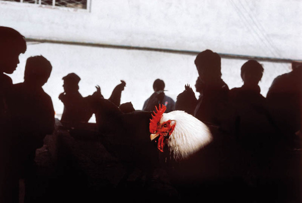 Фото: Георгий Пинхасов