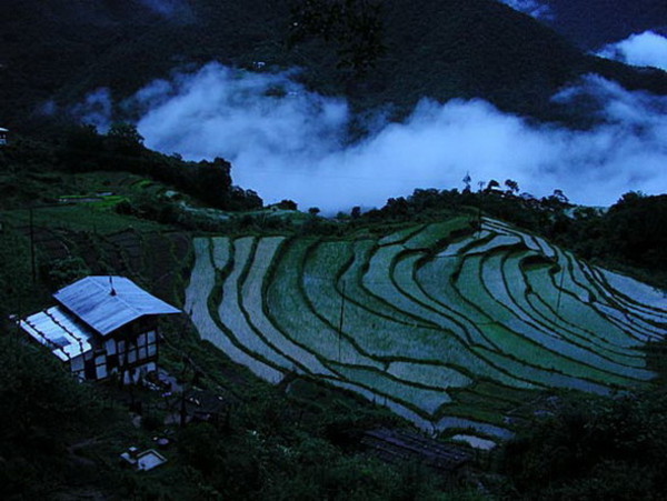 Фото: Георгий Пинхасов