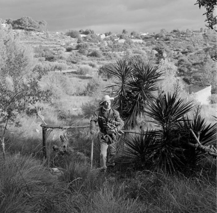 «Времена года»