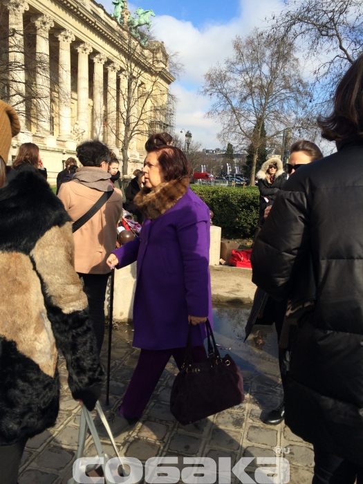 Сьюзи Менкес