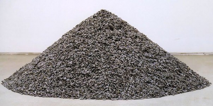 Фарфор, 1000 кг, 2009 год