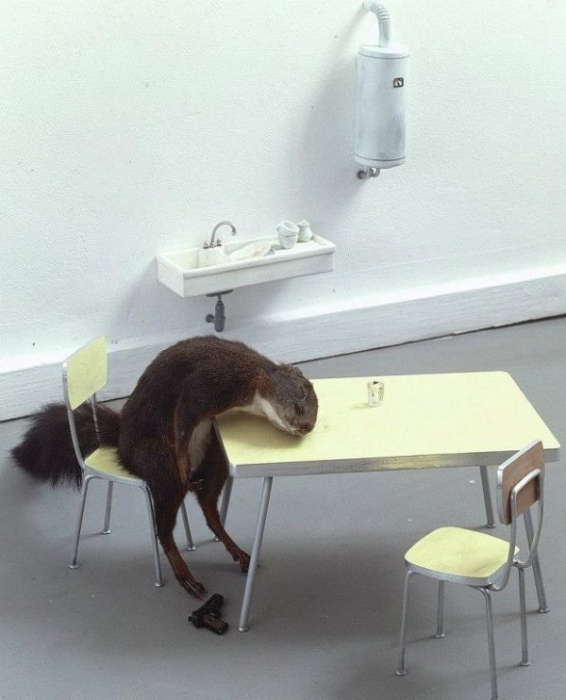 Bidibidobidiboo, 1996 год