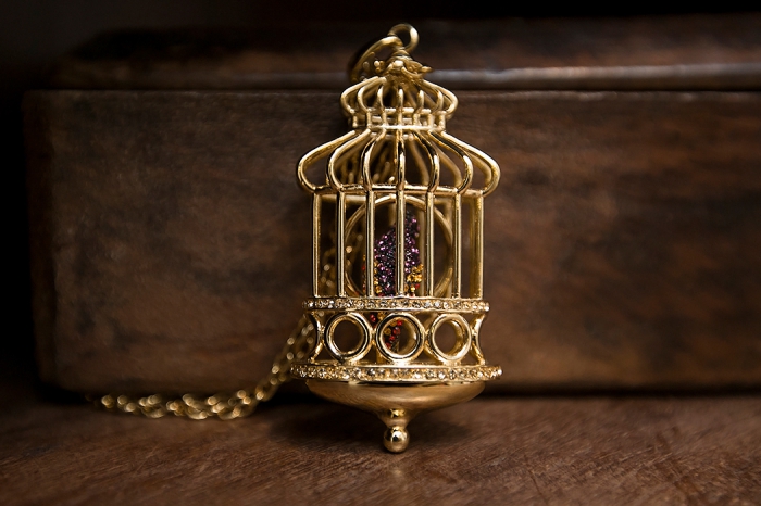 Украшение Roberto Cavalli