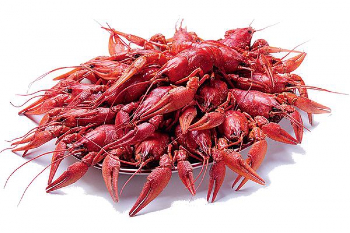 Четверг, «Почти рыбный день»