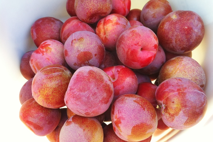 Плуот Название фрукта образовано от английских слов plum — «слива» и apricot — «абрикос». Собственно, они и являются «родителями» продукта. Плуот на