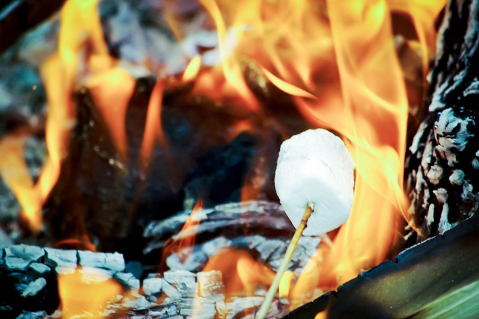 Что взять на сладкое Печенье, которое не крошится, — венское сабле или брауни. Можно приготовить холодные фруктовые супы, клубничный например. Доводим