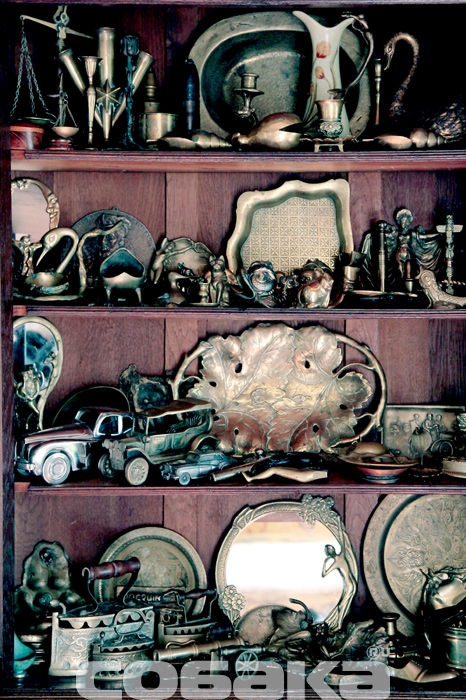 Коллекция предметов из меди и бронзы, которые по мнению художника, обладают лечебной энергетикой. Ее он собирал с двенадцати лет