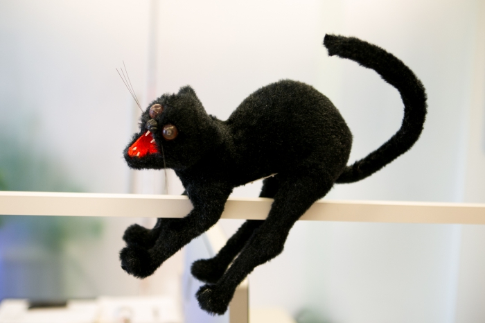 Черного кота подарил Андрею друг на Хэллоуин.