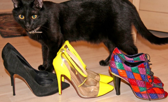 Туфли Casadei, Christian Louboutin, Paolo Conte. Кот Симон – собственность стилиста.