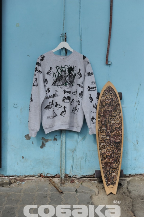 Кофта с утками и лонгборд – оба предмета из Штатов, куплены через интернет