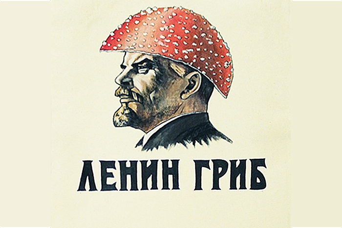 «Ленин — гриб» — это знаменитая мистификация идеолога «Поп-механики» Сергея Курехина и журналиста Сергея Шолохова. Их сюжет, показанный на