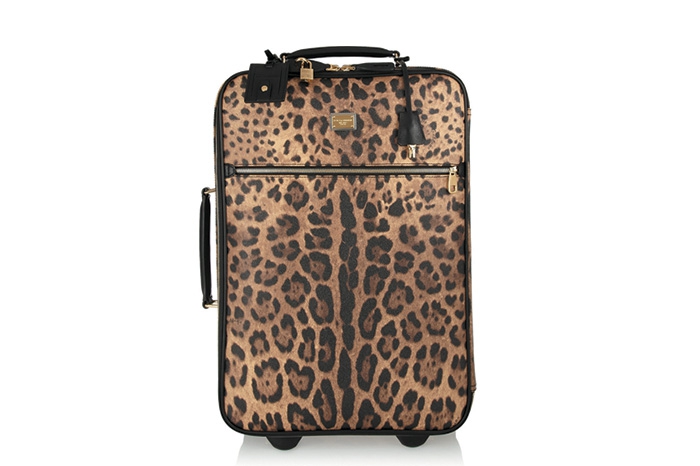 Чемодан Dolce & Gabbana