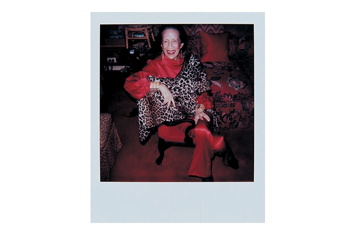 Культовый редактор американского Vogue Диана Вриланд. Фото Энди Уорхола