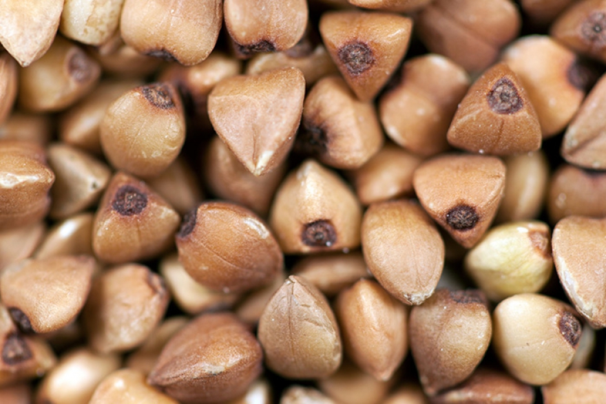 ГречкаРост розничной цены с 1 января по 17 ноября 2014 года почти на 30% по данным Росстата.