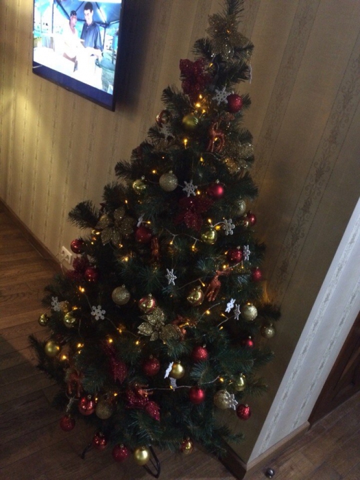 Заглянув на обед в «Тепло», Собака запечатлела такую елочку