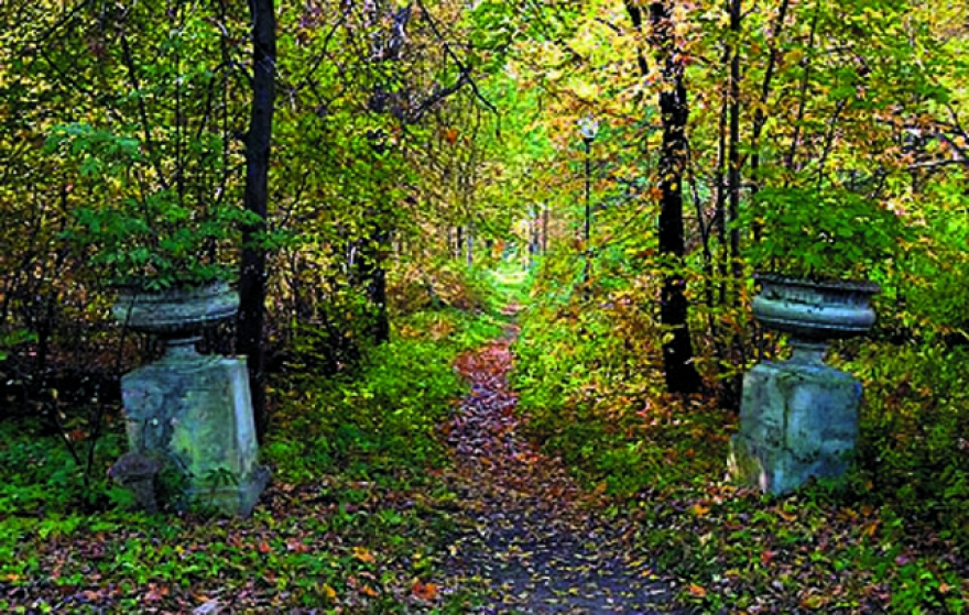 Сыновья императора Павла I, великие князья Александр и Константин, поселились в доме губернского прокурора Чемесова. Сейчас в этом здании размещается