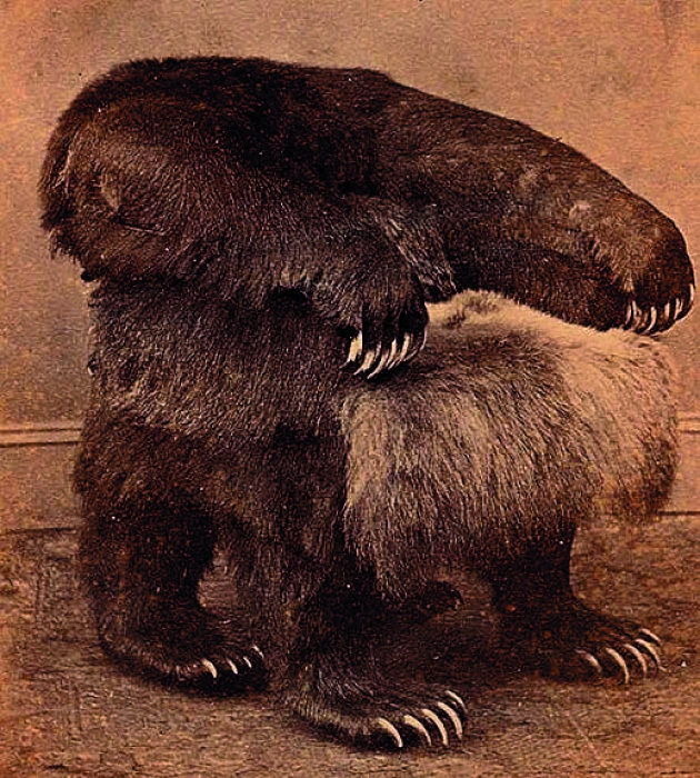 В 1833 году в сосновом бору у Кизического монастыря был убит последний медведь Казанской губернии. Из него сделали кресло и преподнесли губернатору.