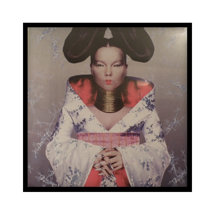 Пластинка Bjork, 1997 год, 1 450 рублей (Vinyl Box)