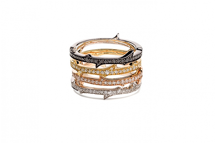 Thorn, Stephen Webster