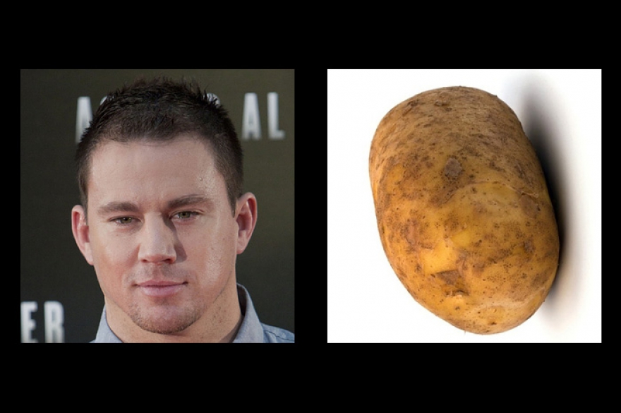 13 Potatoes That Look Like Channing Tatum Картофель внес значительный вклад в культуру интернет-мемов. Сходство клубня с румяным овалом лица актера