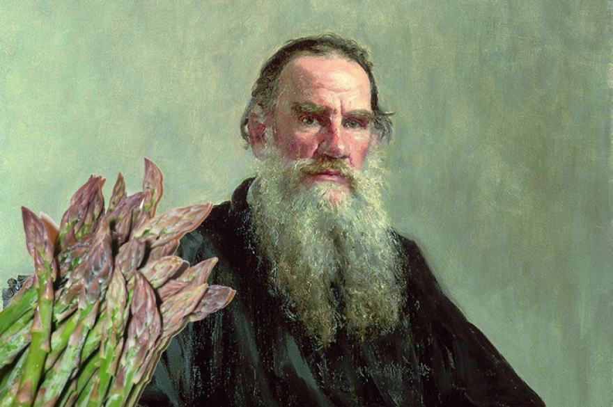 Лев Николаевич + спаржа = любовь Великий писатель земли русской — самый знаменитый любитель спаржи. Побродит, бывало в рубахе по полям, а в усадьбе