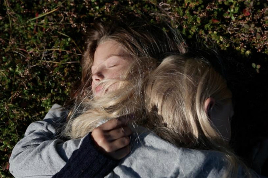 Кинофестиваль «Film from the North» Норвежское кино, в отличие от, скажем, шведского или датского, здесь не слишком пока известно широкому зрителю