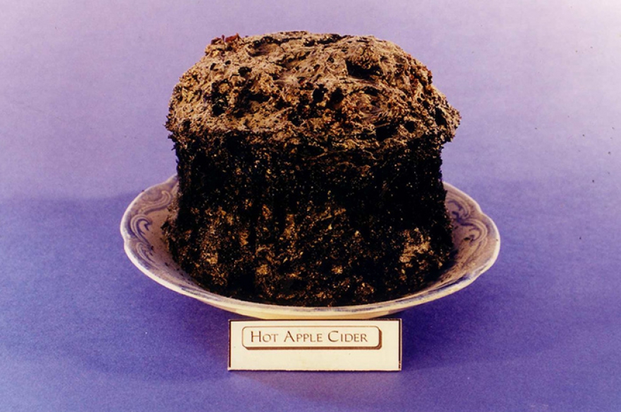 Музей сгоревшей еды / Burnt Food Museum Место, куда нужно попасть каждому. Однажды музыкант Дебора Хэнсон-Конан сожгла яблочный кекс до состояния