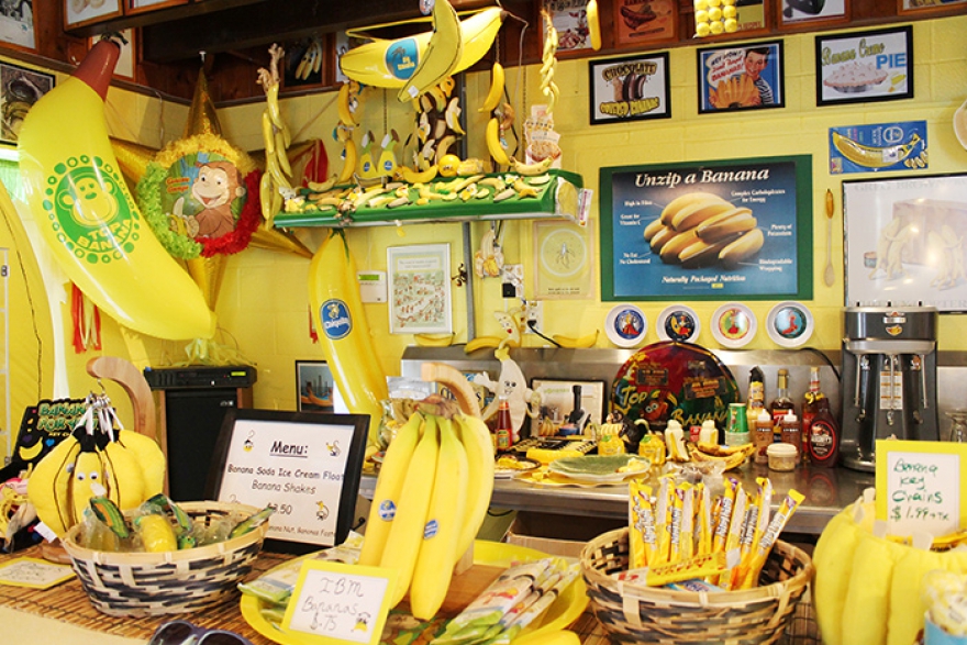 Международный музей банана / International Banana Museum Cамая большая, по мнению Книги рекордов Гинесса, коллекция в мире, посвященная одному фрукту