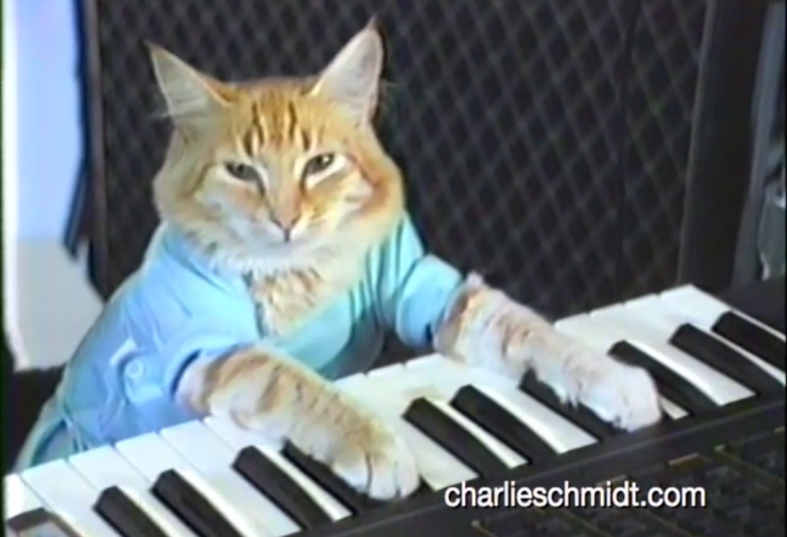 9 место Имя: Keyboard Cat Количество подписчиков: более 70 млн Видео-ролик на YouTube Рыжий кот в голубой рубашке, как и подобает маэстро, восседает