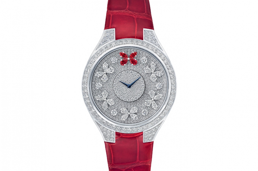 Disco Butterfly Graff