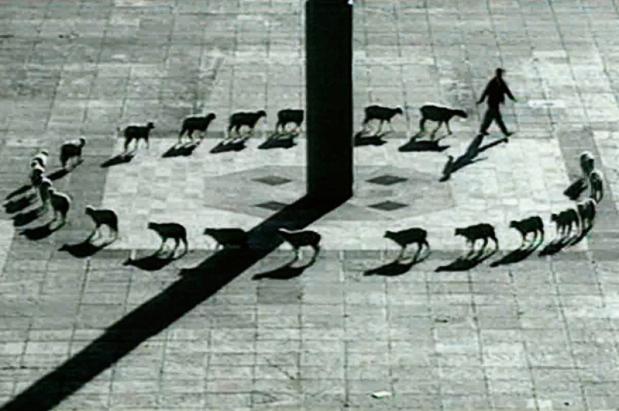 «Патриотические сказки» (1997), перформанс Алис на протяжении нескольких часов режиссирует монотонное действо посреди гигантской площади Zocalo