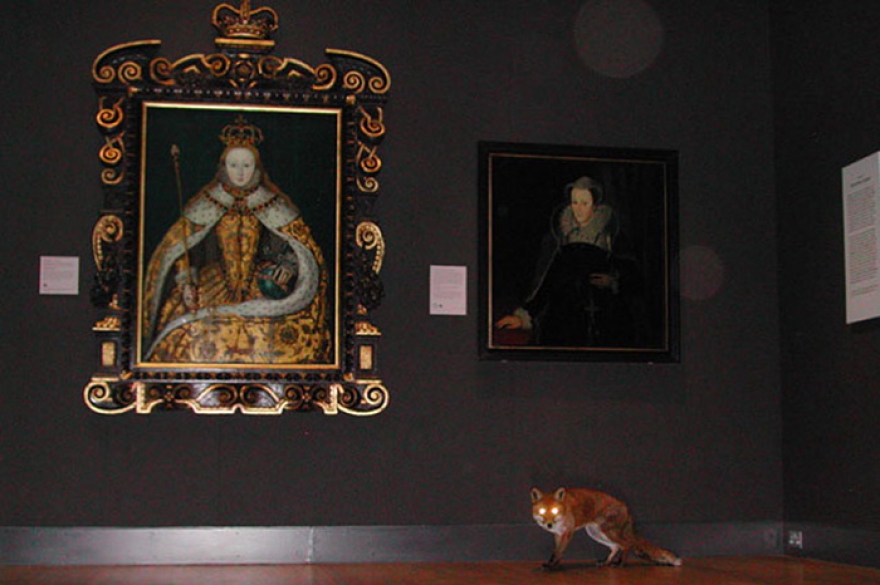 «Ночной дозор» (2004), акция Однажды ночью Алис запустил лису в лондонскую Национальную портретную галерею. Действия рыжего зверя — то испуганного, то