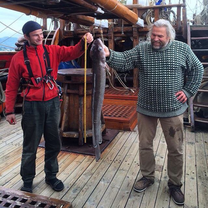 2. Не стоить ломать голову над тем, какая рыба в океане плавает быстрее всех. Просто наблюдайте.