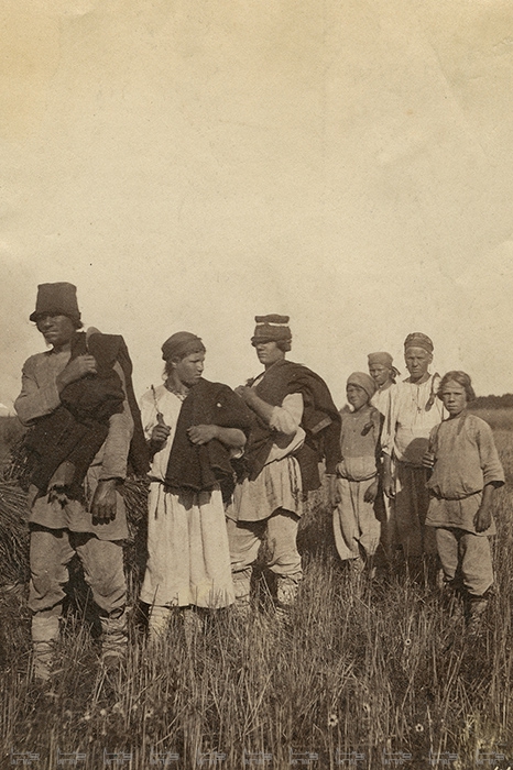 Вильям Каррик. Крестьяне в поле. 1870-е гг. Архив О. А. Хорошиловой