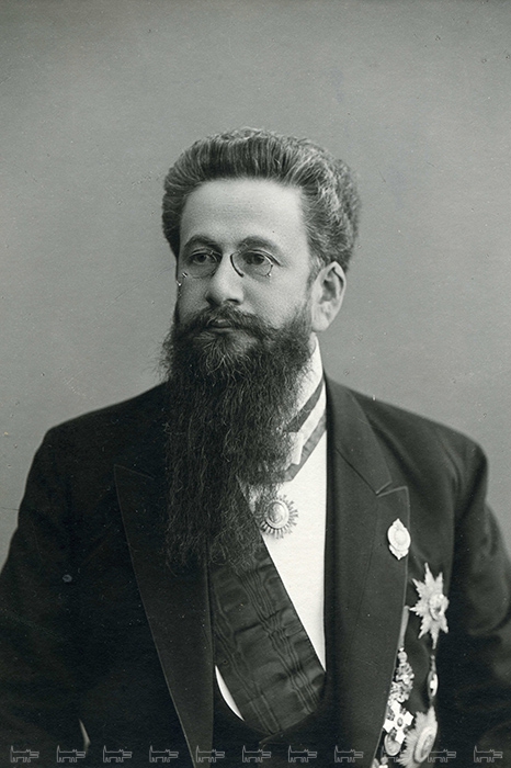 Предприниматель Людвиг Метцель запечатлен во фрачной тройке с наградами, среди которых – орден св. Анны 3-й степени под короной, звезда персидского