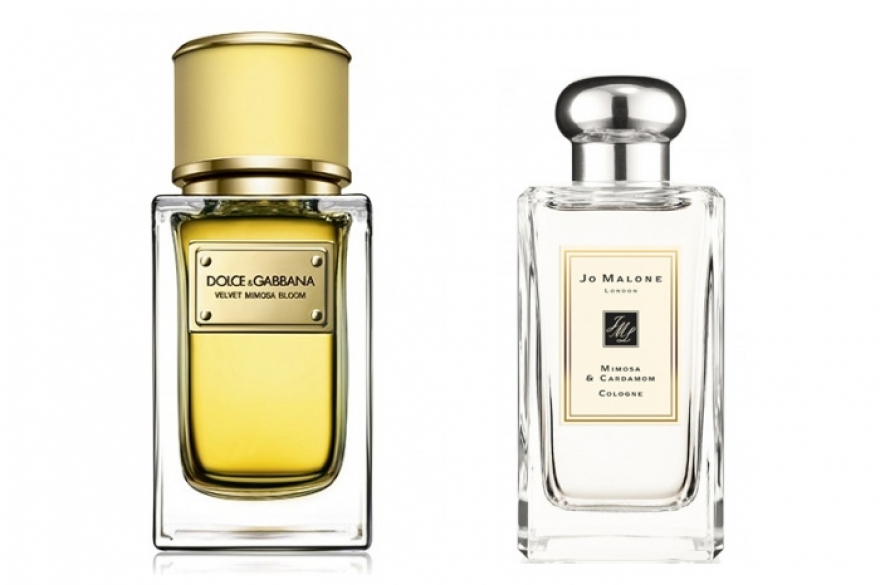 Velvet Mimosa Bloom, Dolce & Gabbana; Mimosa & Cardamon, Jo Malone У итальянцев и англичан нет железной ассоциации мимозы с гриппом и тающими