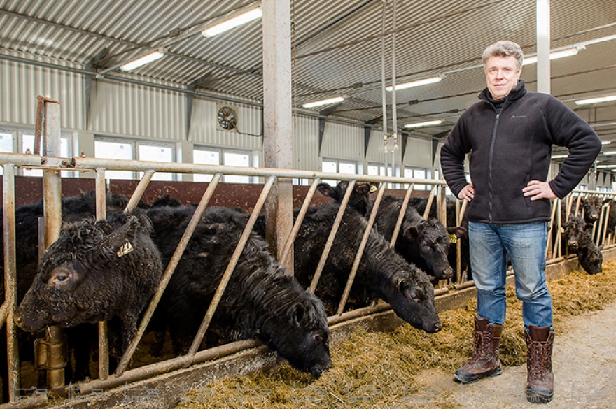 Павел Гришин в хозяйстве "Урожайное"