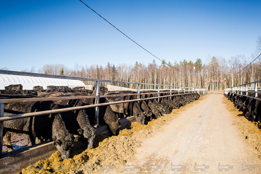 Хозяйство "Урожайное"