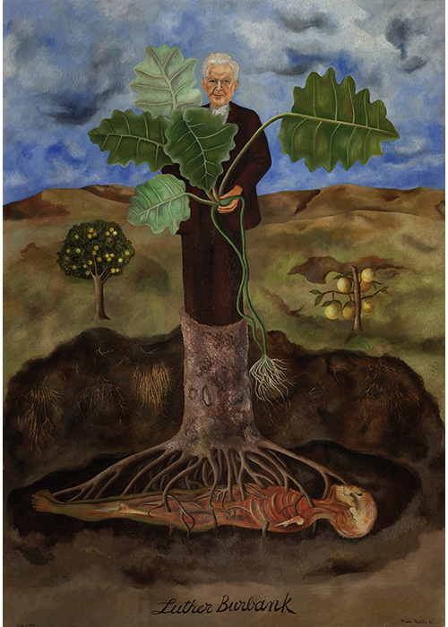 Фрида Кало Портрет Лютера Бёрбанка 1932 Мазонит, масло