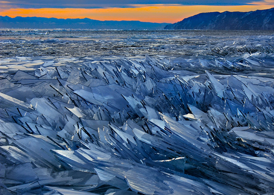 «Колючая нежность», фото: Марина Чукмасова. Третье место в номинации «Пейзажи»