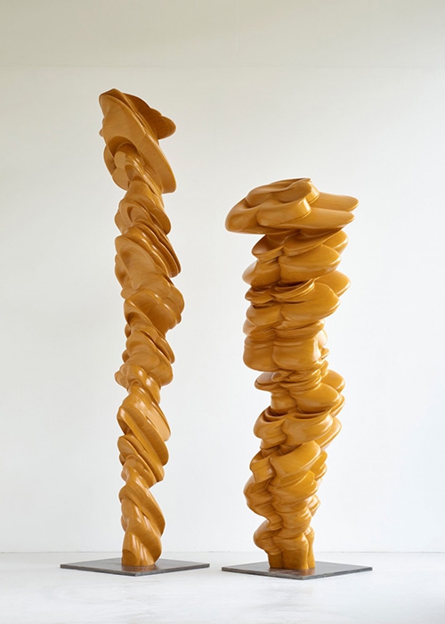 «Измерение пары» (2014)