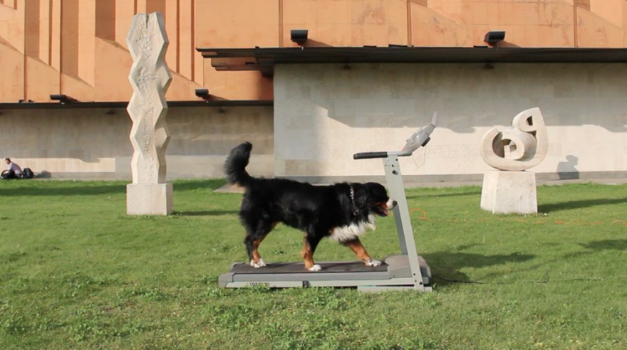 4. Приезжавший для проведения воркшопа летом 2015 года в «Смену» художник Brad Downey, создатель жанра «спонтанной скульптуры», запечатлел Казань в