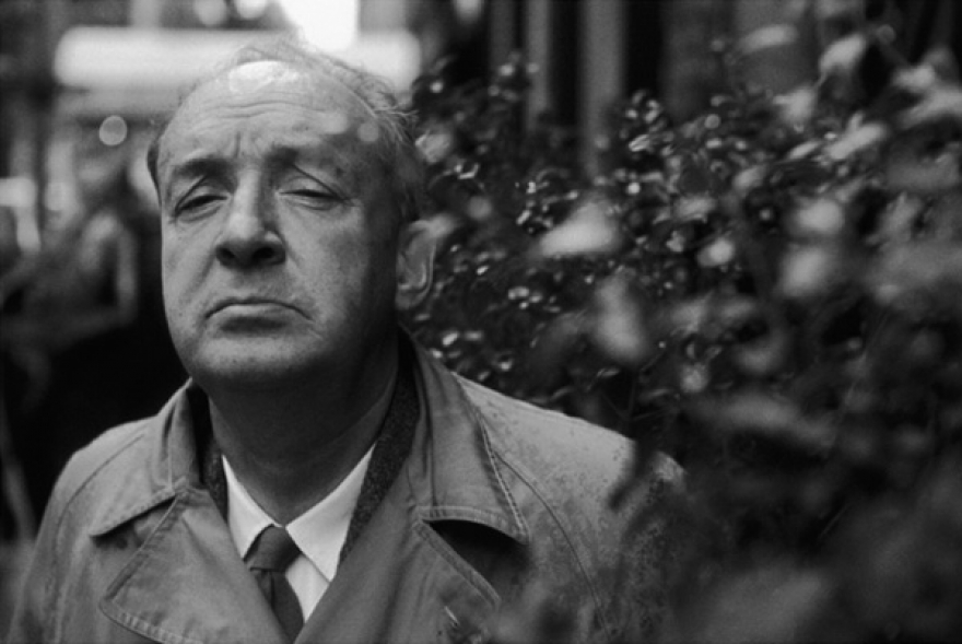 Владимир Набоков «Ада», «Пнин», «Машенька», «Бледный огонь» Скоро, однако, ритмически совершенное, но вербально отчасти расплывчатое разноречие кранов