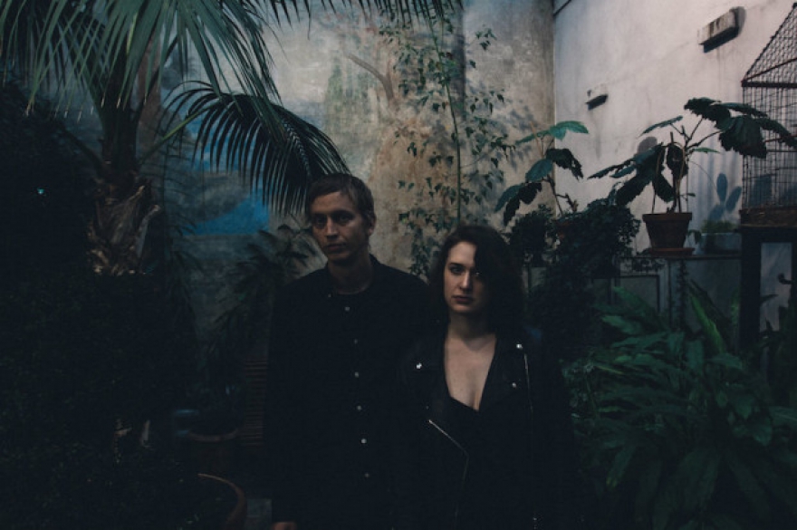 Cats of Transnistria