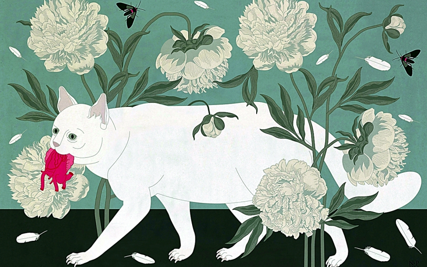 Котик с сердцем, 2015 год