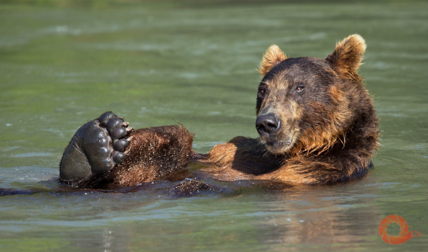«Первозданная Россия»