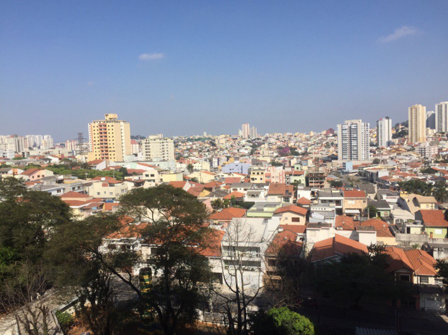 Перед поездкой в Рио вся команда пловцов проходит адаптацию в Бразилии,Сан-Каэтану